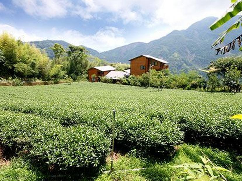 Walk Cloud Bed And Breakfast Meishan Zewnętrze zdjęcie